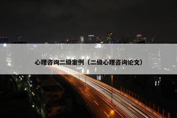 心理咨询二级案例（二级心理咨询论文）