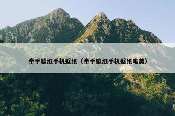 牵手壁纸手机壁纸（牵手壁纸手机壁纸唯美）
