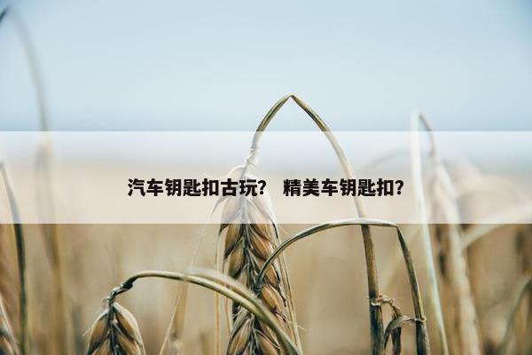 汽车钥匙扣古玩？ 精美车钥匙扣？