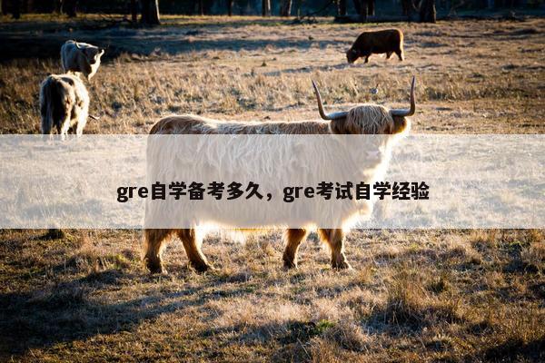 gre自学备考多久，gre考试自学经验