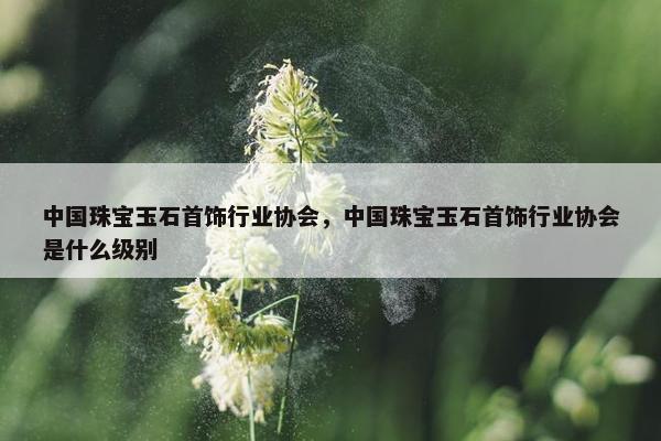 中国珠宝玉石首饰行业协会，中国珠宝玉石首饰行业协会是什么级别