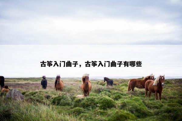 古筝入门曲子，古筝入门曲子有哪些