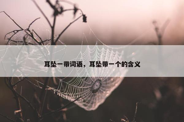 耳坠一带词语，耳坠带一个的含义