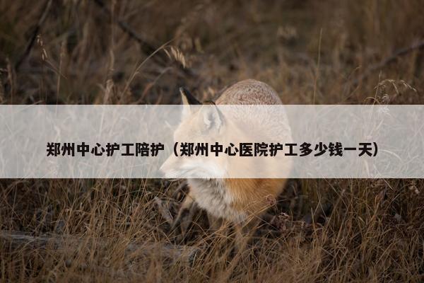 郑州中心护工陪护（郑州中心医院护工多少钱一天）
