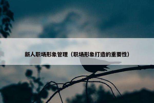 新人职场形象管理（职场形象打造的重要性）