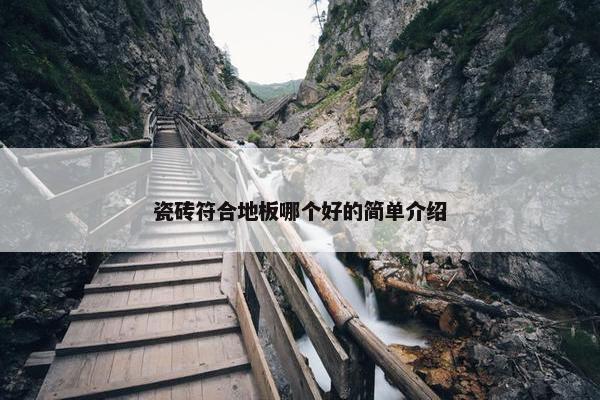 瓷砖符合地板哪个好的简单介绍