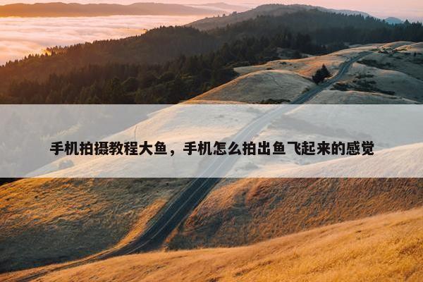 手机拍摄教程大鱼，手机怎么拍出鱼飞起来的感觉