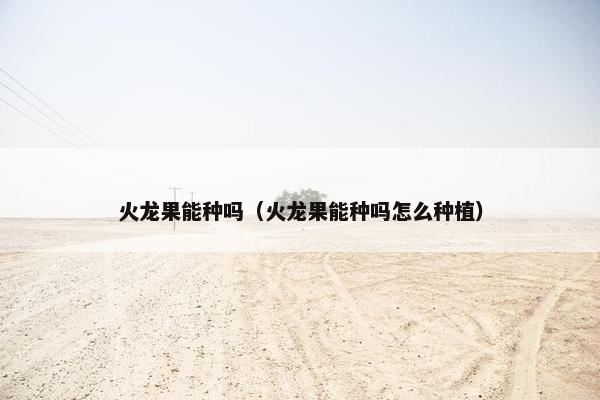 火龙果能种吗（火龙果能种吗怎么种植）