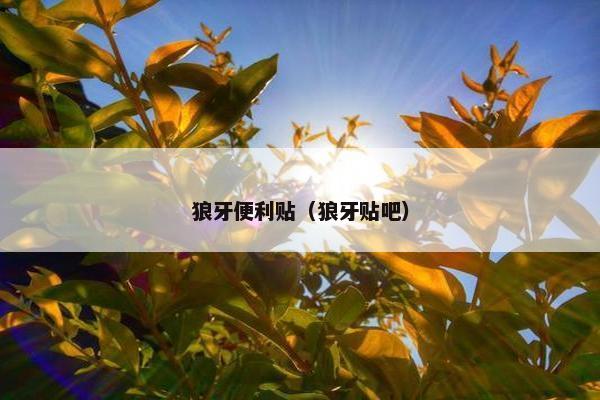 狼牙便利贴（狼牙贴吧）