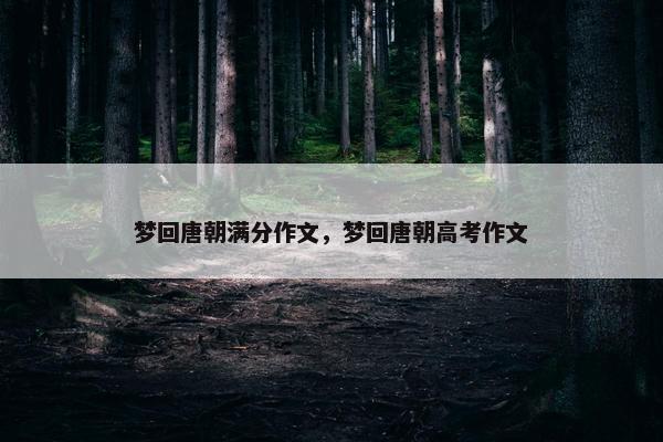 梦回唐朝满分作文，梦回唐朝高考作文