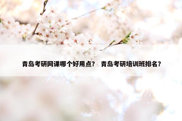 青岛考研网课哪个好用点？ 青岛考研培训班排名？