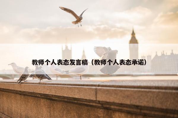 教师个人表态发言稿（教师个人表态承诺）