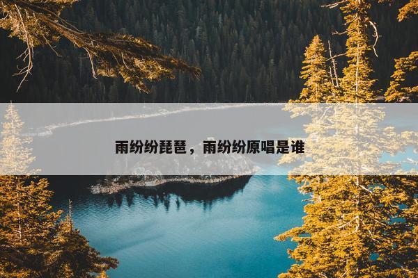 雨纷纷琵琶，雨纷纷原唱是谁