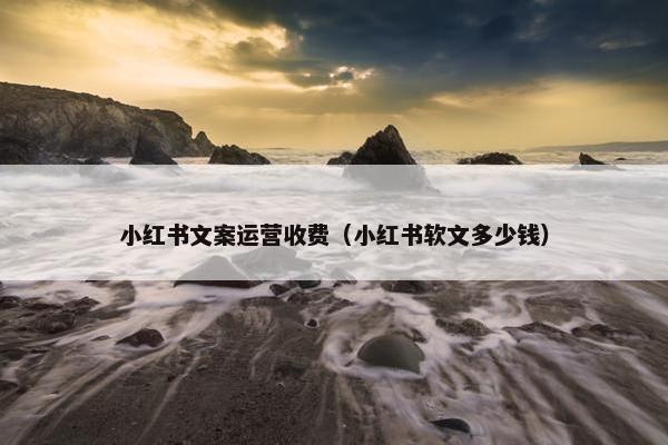 小红书文案运营收费（小红书软文多少钱）