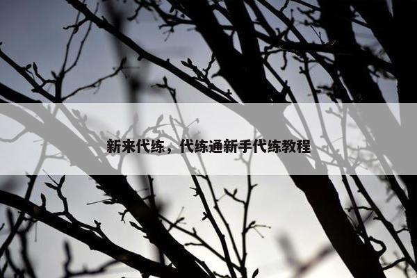 新来代练，代练通新手代练教程