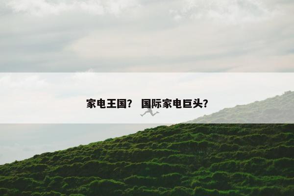 家电王国？ 国际家电巨头？