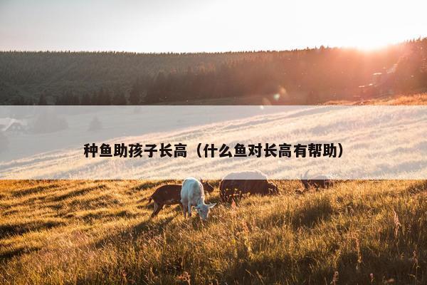 种鱼助孩子长高（什么鱼对长高有帮助）