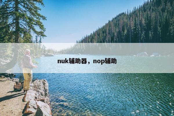 nuk辅助器，nop辅助