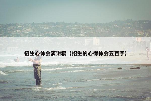 招生心体会演讲稿（招生的心得体会五百字）