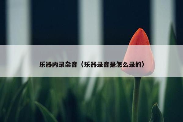 乐器内录杂音（乐器录音是怎么录的）
