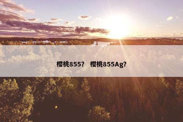 樱桃855？ 樱桃855Ag？