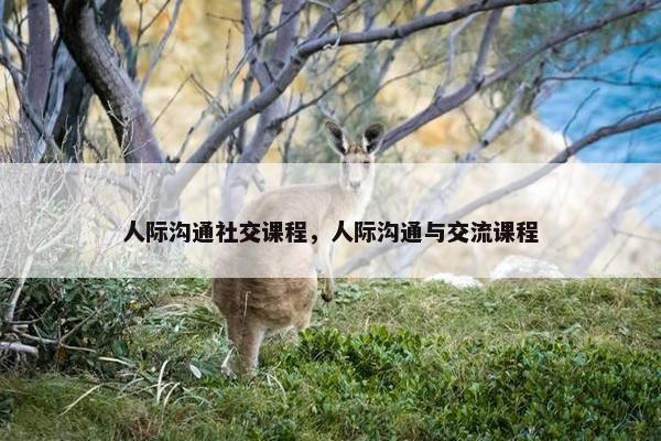 人际沟通社交课程，人际沟通与交流课程