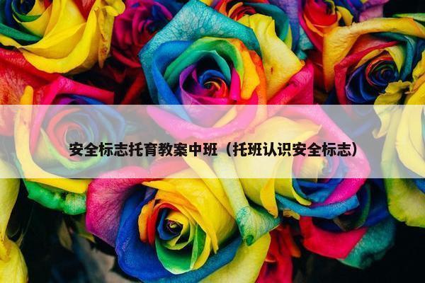 安全标志托育教案中班（托班认识安全标志）