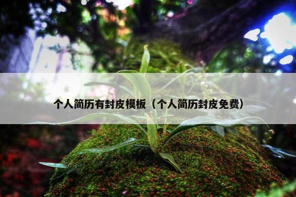 个人简历有封皮模板（个人简历封皮免费）