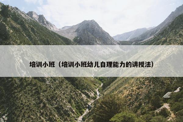 培训小班（培训小班幼儿自理能力的讲授法）