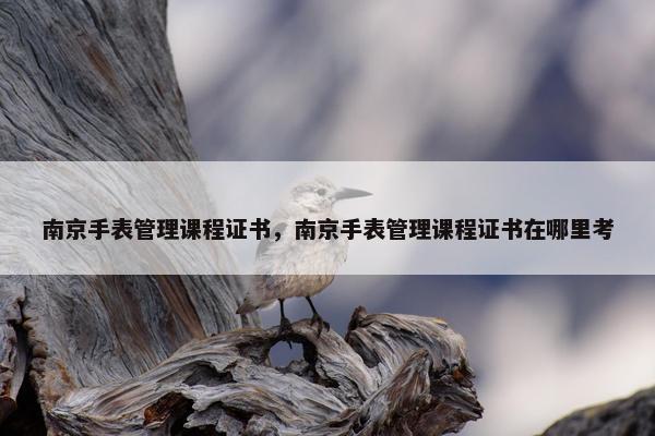 南京手表管理课程证书，南京手表管理课程证书在哪里考