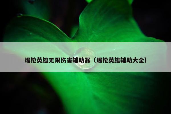 爆枪英雄无限伤害辅助器（爆枪英雄辅助大全）