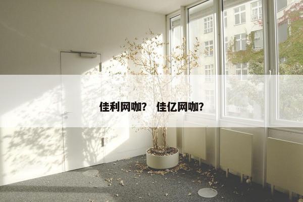 佳利网咖？ 佳亿网咖？