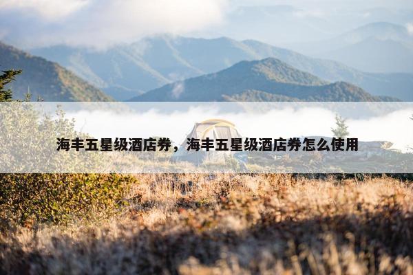 海丰五星级酒店券，海丰五星级酒店券怎么使用