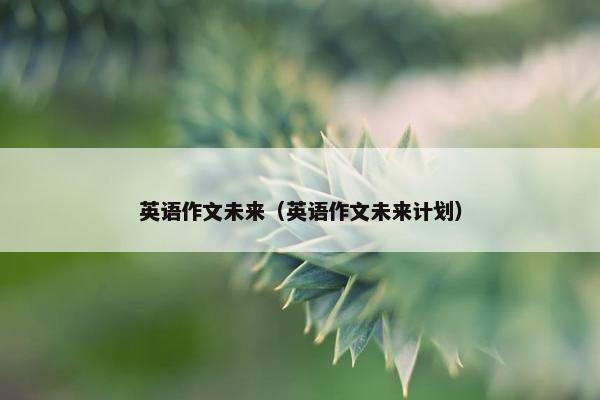 英语作文未来（英语作文未来计划）
