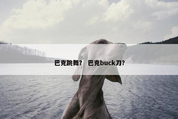 巴克跳舞？ 巴克buck刀？