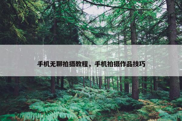手机无聊拍摄教程，手机拍摄作品技巧