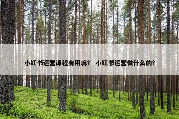 小红书运营课程有用嘛？ 小红书运营做什么的？