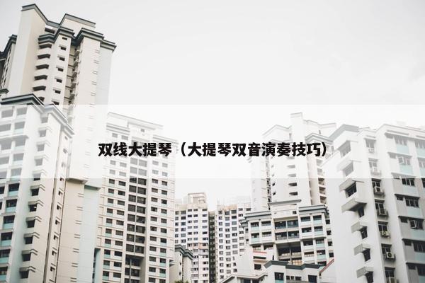 双线大提琴（大提琴双音演奏技巧）