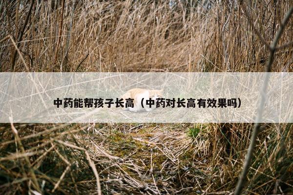 中药能帮孩子长高（中药对长高有效果吗）