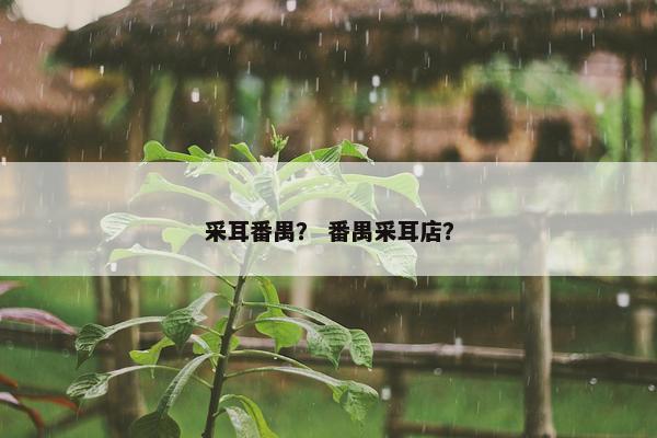 采耳番禺？ 番禺采耳店？