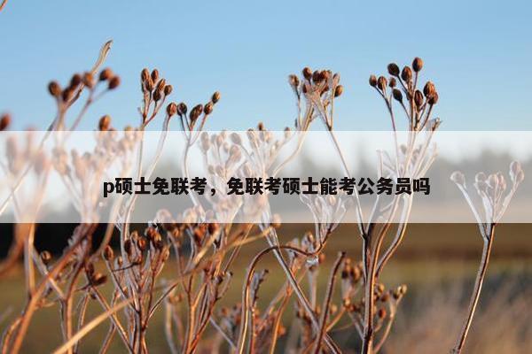 p硕士免联考，免联考硕士能考公务员吗