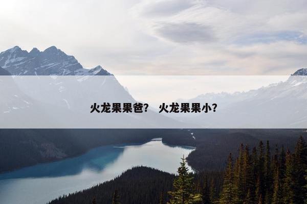 火龙果果爸？ 火龙果果小？