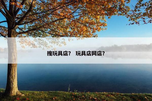 搜玩具店？ 玩具店网店？