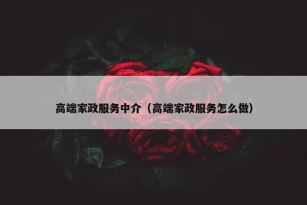 高端家政服务中介（高端家政服务怎么做）
