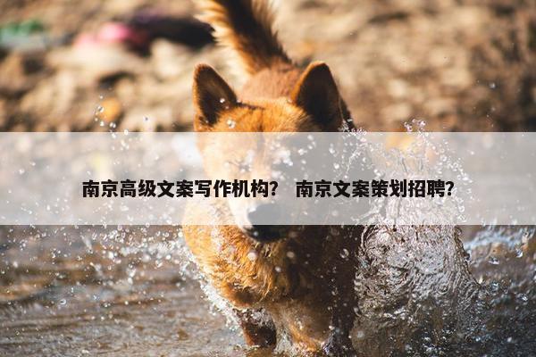 南京高级文案写作机构？ 南京文案策划招聘？