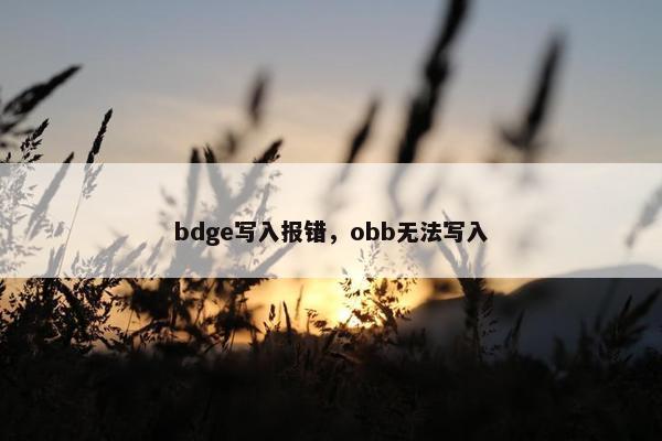 bdge写入报错，obb无法写入