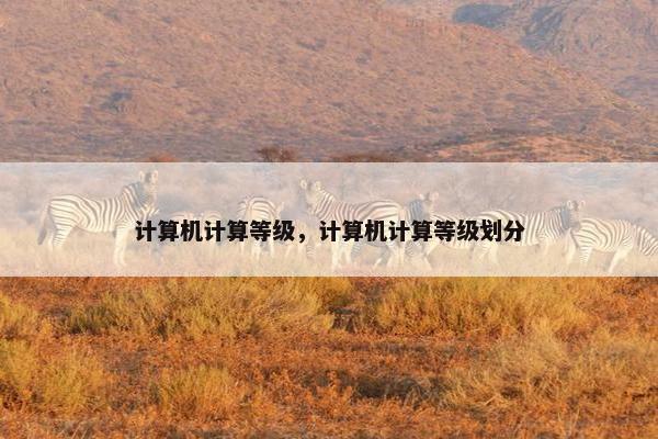 计算机计算等级，计算机计算等级划分