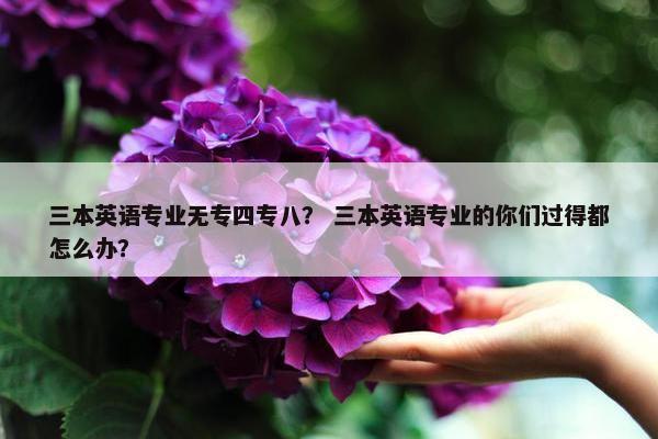 三本英语专业无专四专八？ 三本英语专业的你们过得都怎么办？