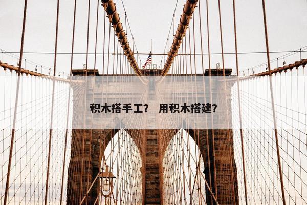 积木搭手工？ 用积木搭建？