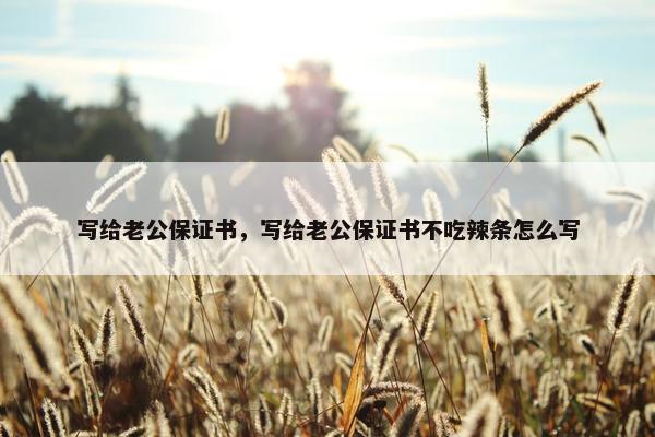 写给老公保证书，写给老公保证书不吃辣条怎么写